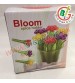 Bloom Spice Holder Set